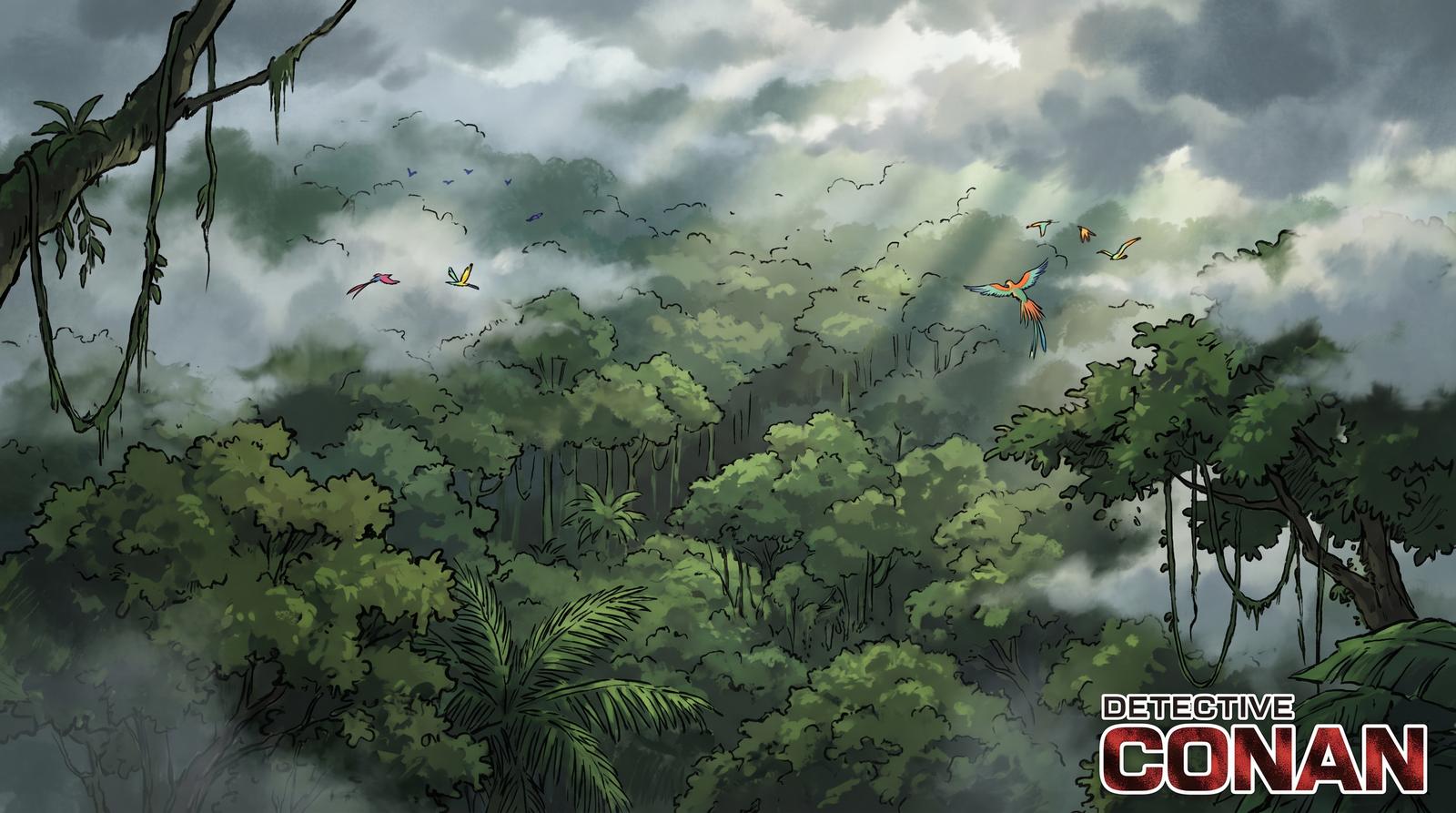 小马拉大车热带雨林植物视频